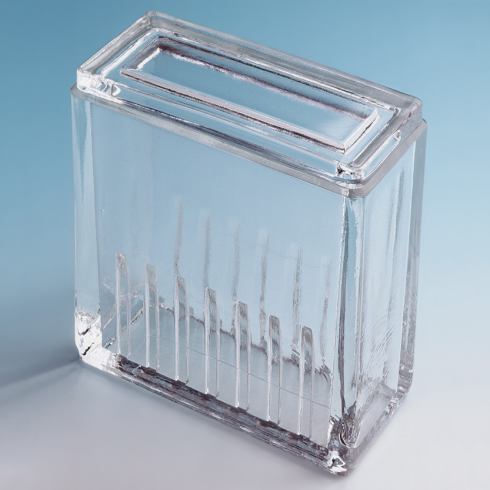 Objektträgerkasten aus Glas, mit Deckel nach Hellendahl ohne Erweiterung,
