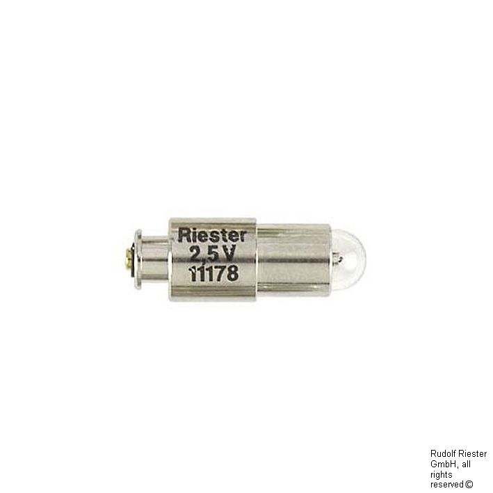 Ersatzlampen XL 2,5 V, für fortelux H und e-xam (6 Stck.)