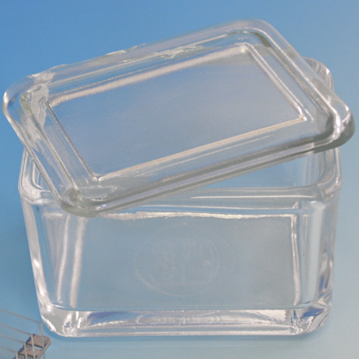 Glaskasten mit Deckel allein 9 x 7 x 6,5 cm