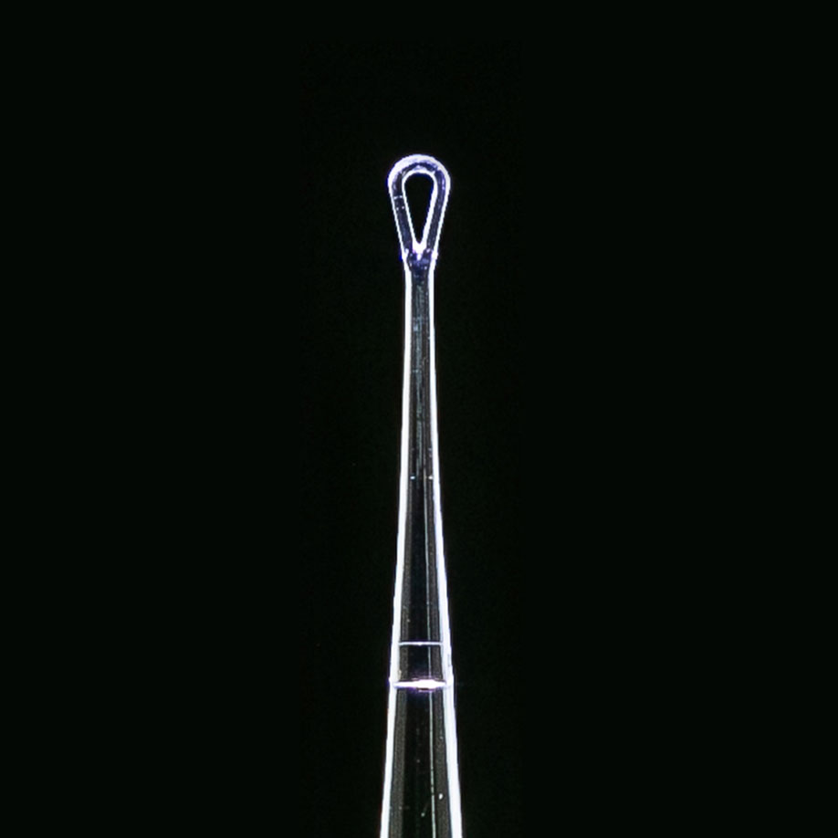 ClearLook LED Ohrküretten VersaLoop, 3 mm Durchmesser (50 Stck.)