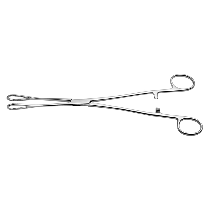 Rampley Schwammzange, gerade, 25 cm