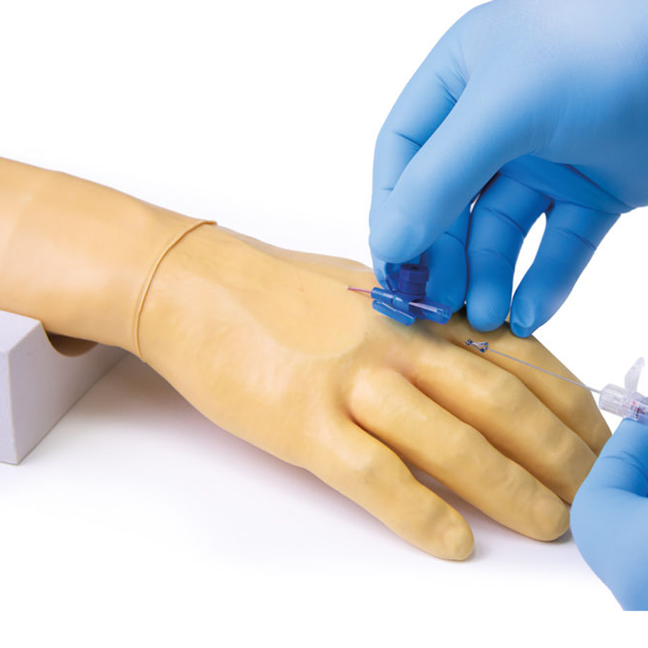 Trainingsarm für intravenöse Injektion und Infusion