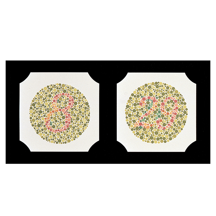 Ishihara Farbtafeln, Buchformat, 24 Tafeln, gebunden