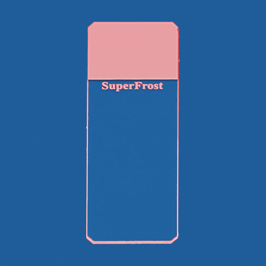 Objektträger SuperFrost rosa geschliffen 45° (50 Stck.)