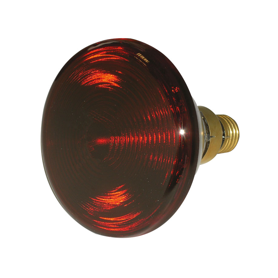 Ersatzlampe 150 W für IR Classic