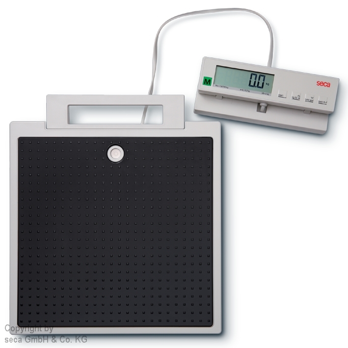 elektronische Flachwaage seca 899 mit Kabelfernanzeige inkl. Eichkosten € 69,-