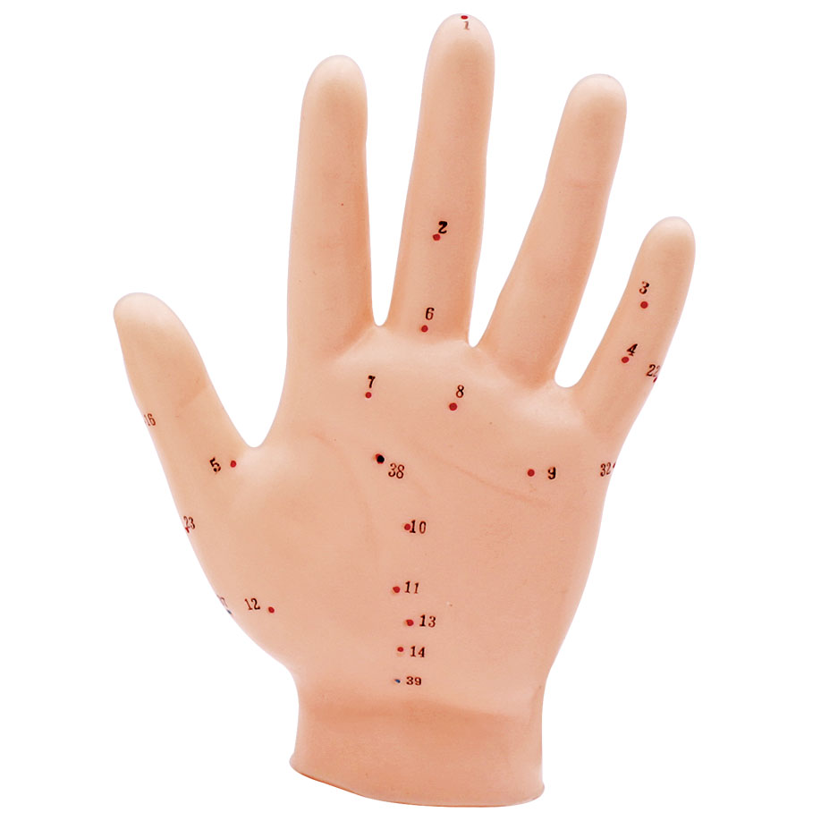 Akupunkturmodell Hand
