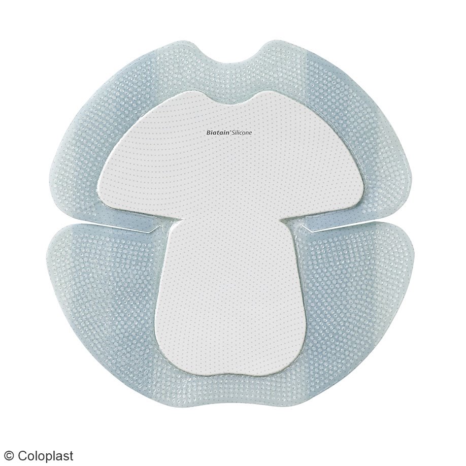 Biatain Silicone Schaumverband steril, 10 x 10 cm (10 Stck.)